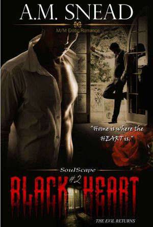 [Soulscape 02] • Black Heart